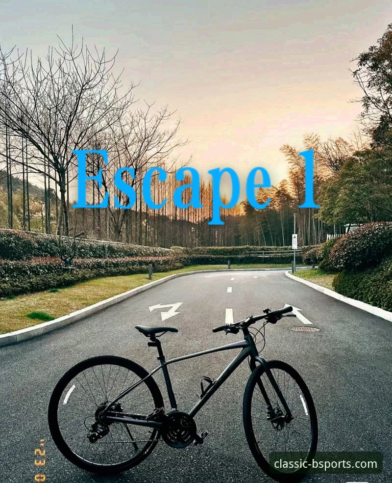 资深技术评测员分享：b体育轻量流畅界面的实战经验与版本选择心得